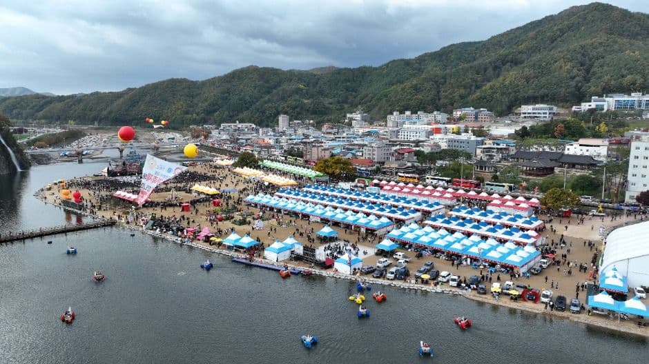 청송사과축제 2