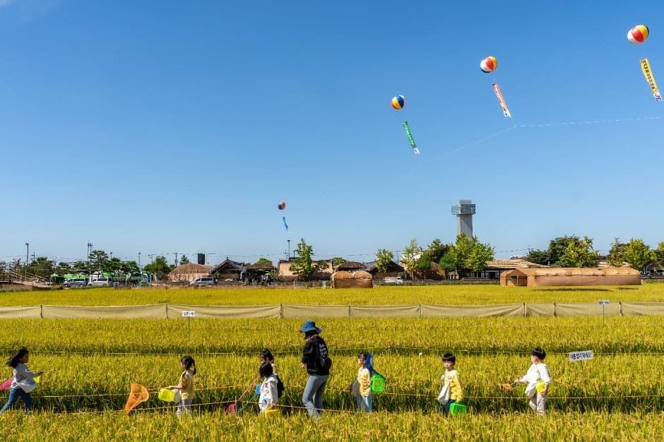 김제지평선축제 2
