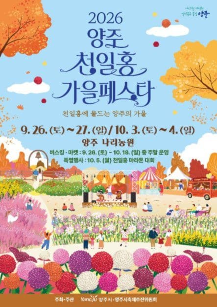양주 천일홍 가을 페스타 5