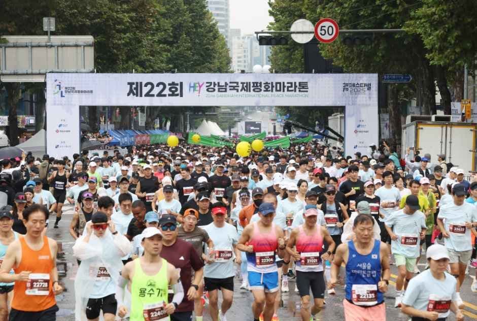 강남페스티벌 8