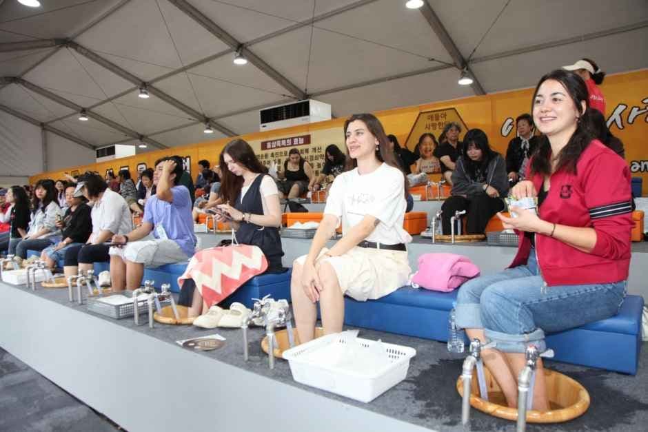 금산세계인삼축제 9