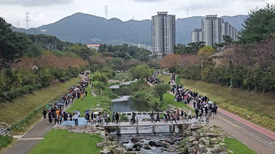 정관생태하천학습문화축제 7