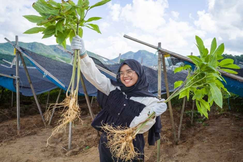 금산세계인삼축제 7