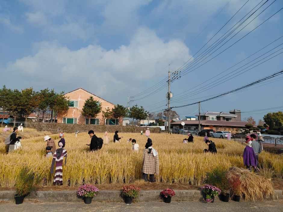 의좋은 형제 축제 6