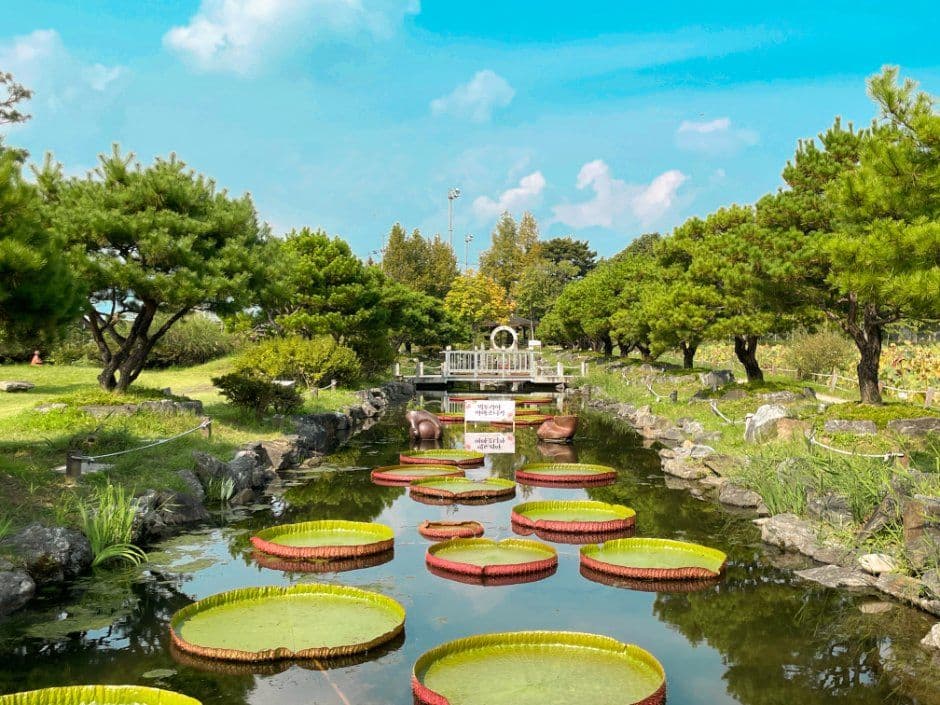 세미원 수련문화제