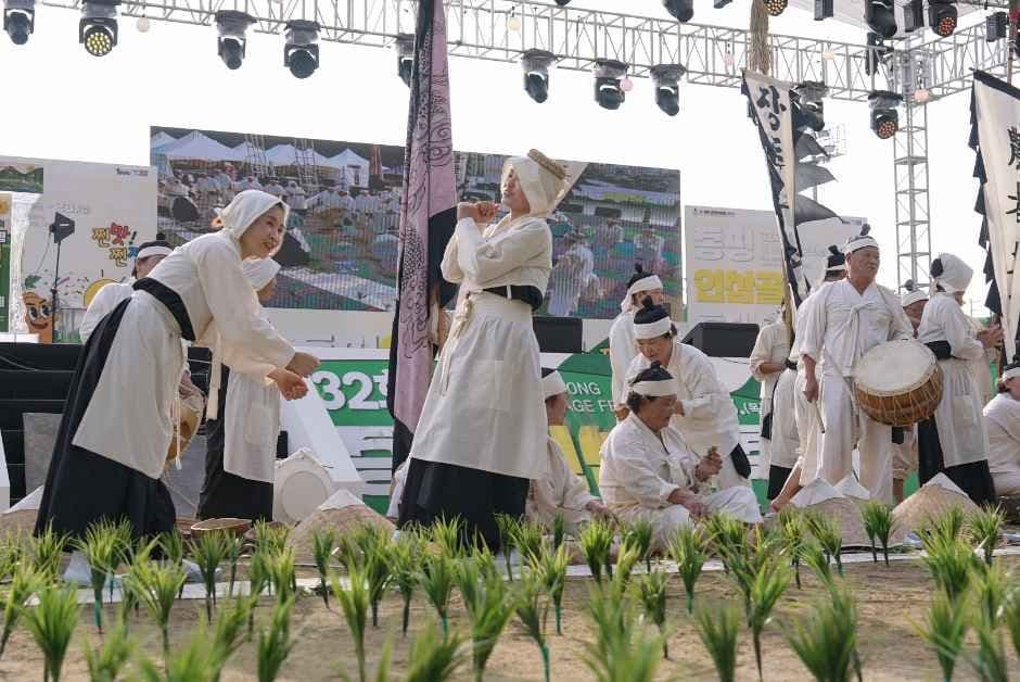 증평인삼골축제 8