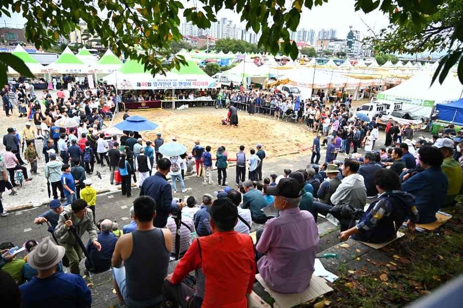 생거진천 문화축제 2