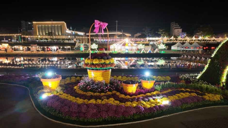 보은대추 축제