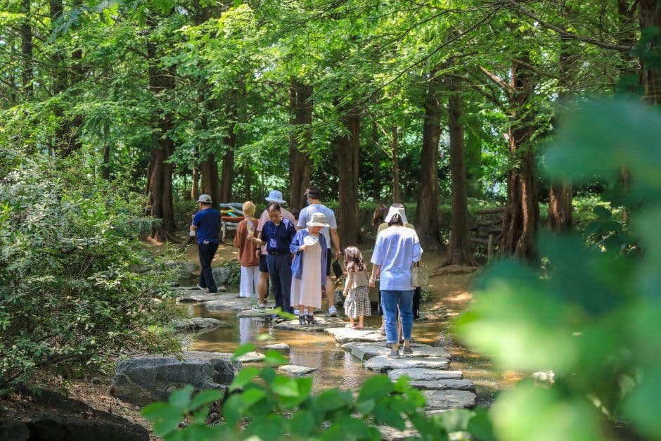 세미원 수련문화제 3