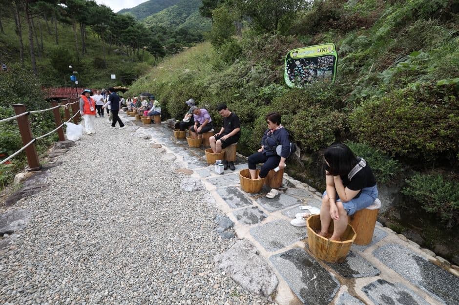 산청한방약초축제 4