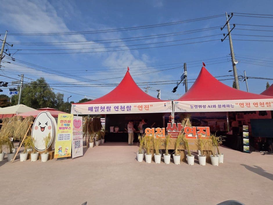 연천율무축제 8