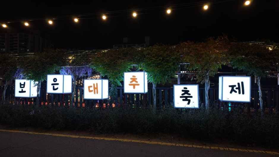 보은대추 축제 5