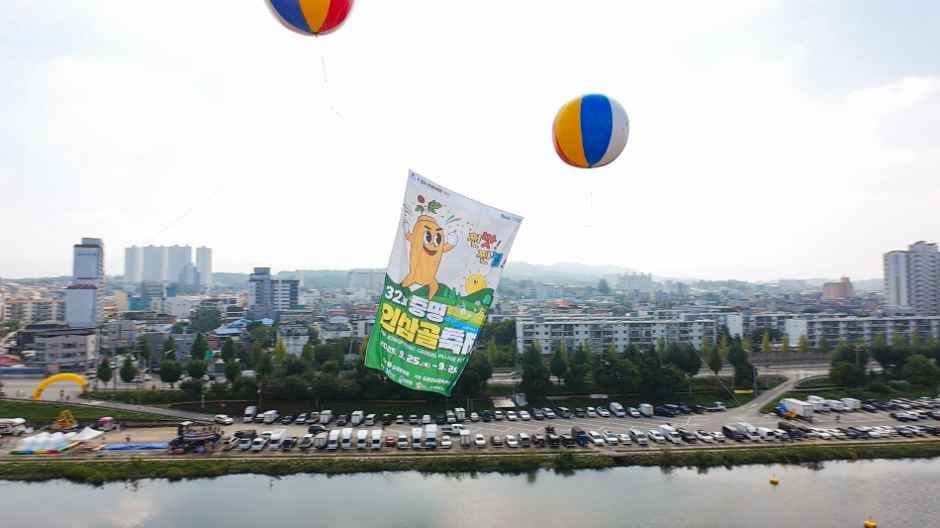 증평인삼골축제 4