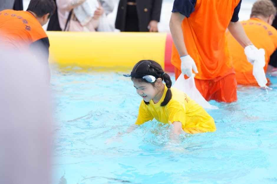 고성명태축제 4