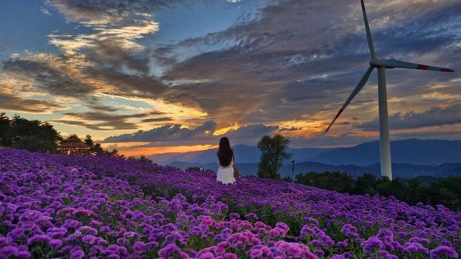 감악산 꽃별 여행 4