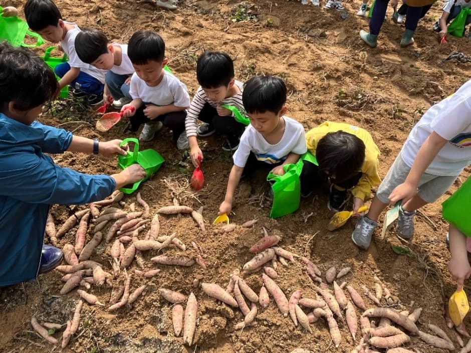 청원생명축제 2