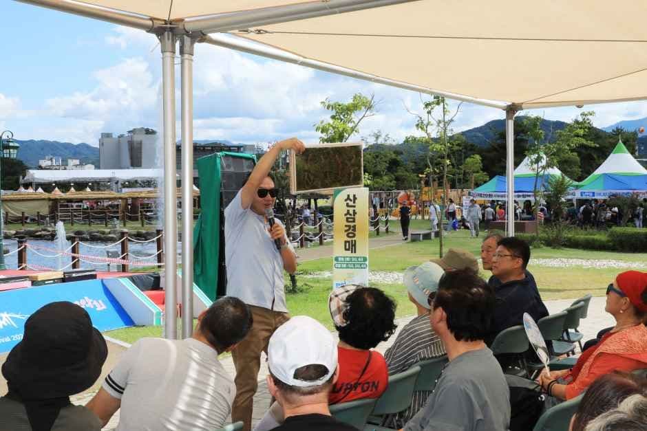 함양산삼축제 2