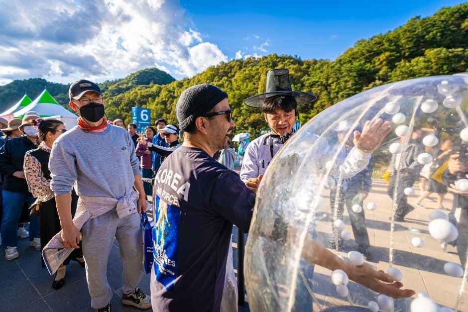횡성한우축제 7