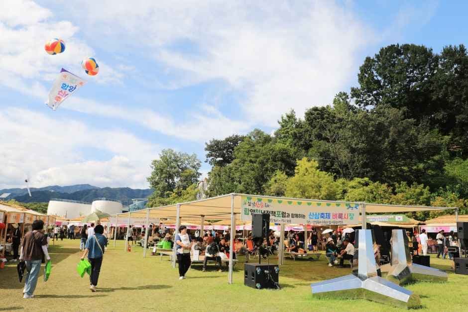 함양산삼축제 4