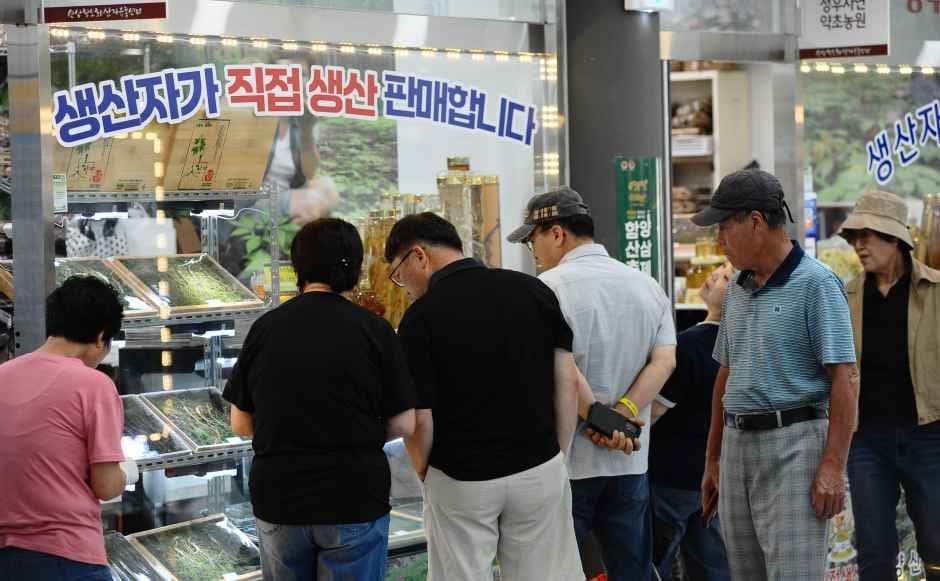 함양산삼축제 8