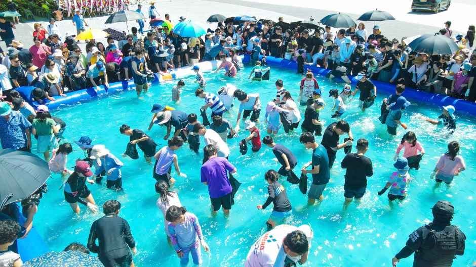 홍성남당항 대하축제 6