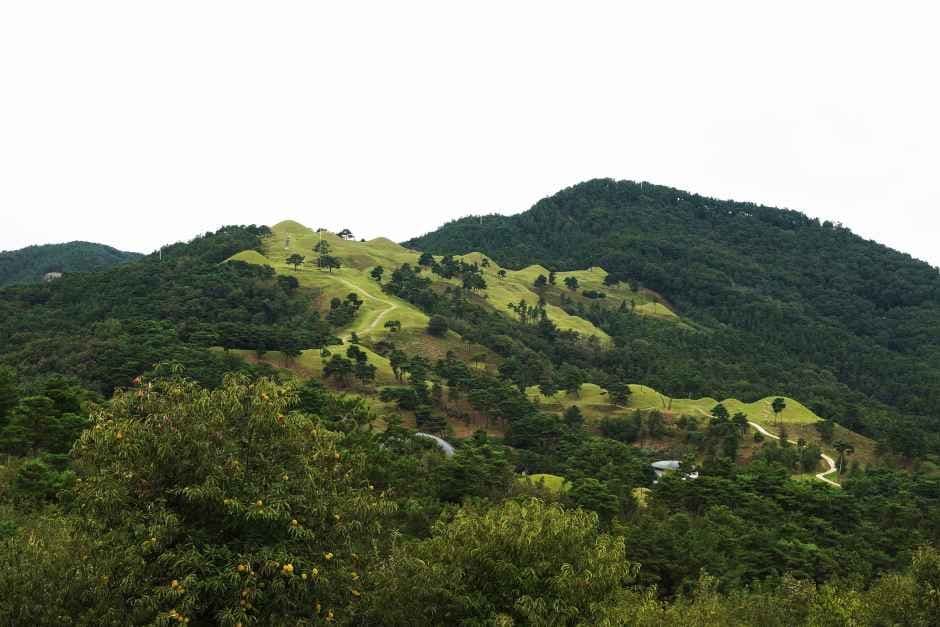 세계유산축전 4